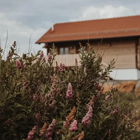 Oberwald Chalets 3 Domek alpejski