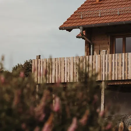 Domek alpejski Oberwald Chalets 3 Breungeshain
